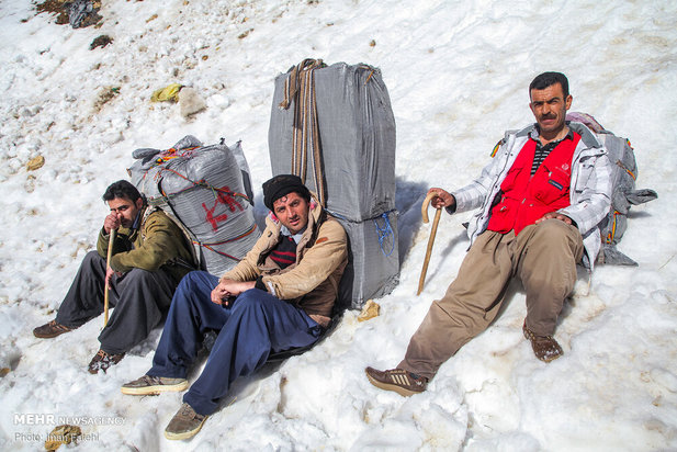 کولبران در برف و سرما