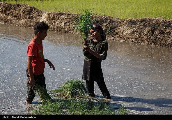 روز جهانی کارگر