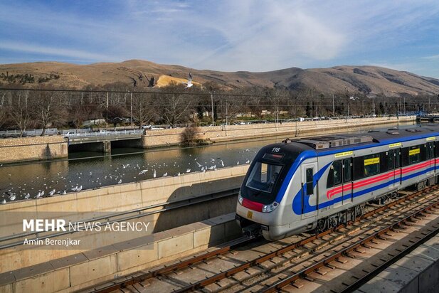 مرغان دریایی